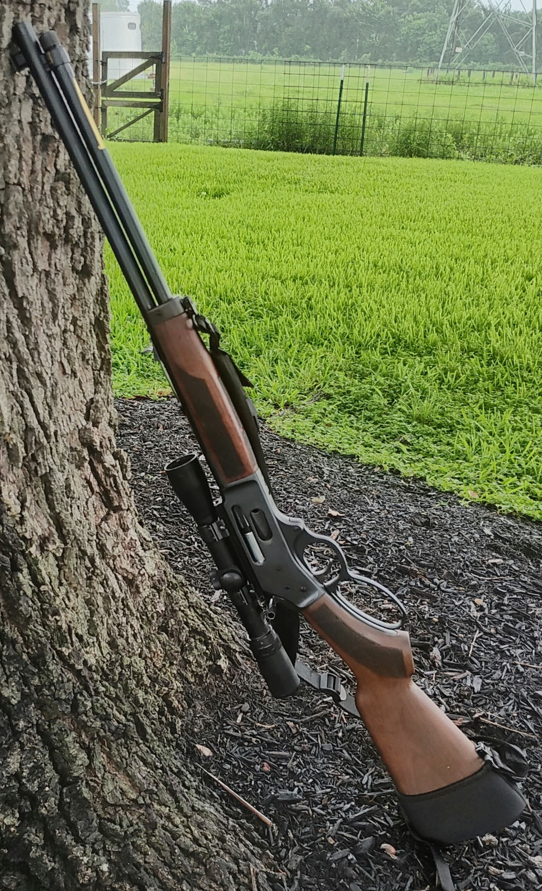 The author's Henry H9 Provider rifle chambered in .360 Buckhammer