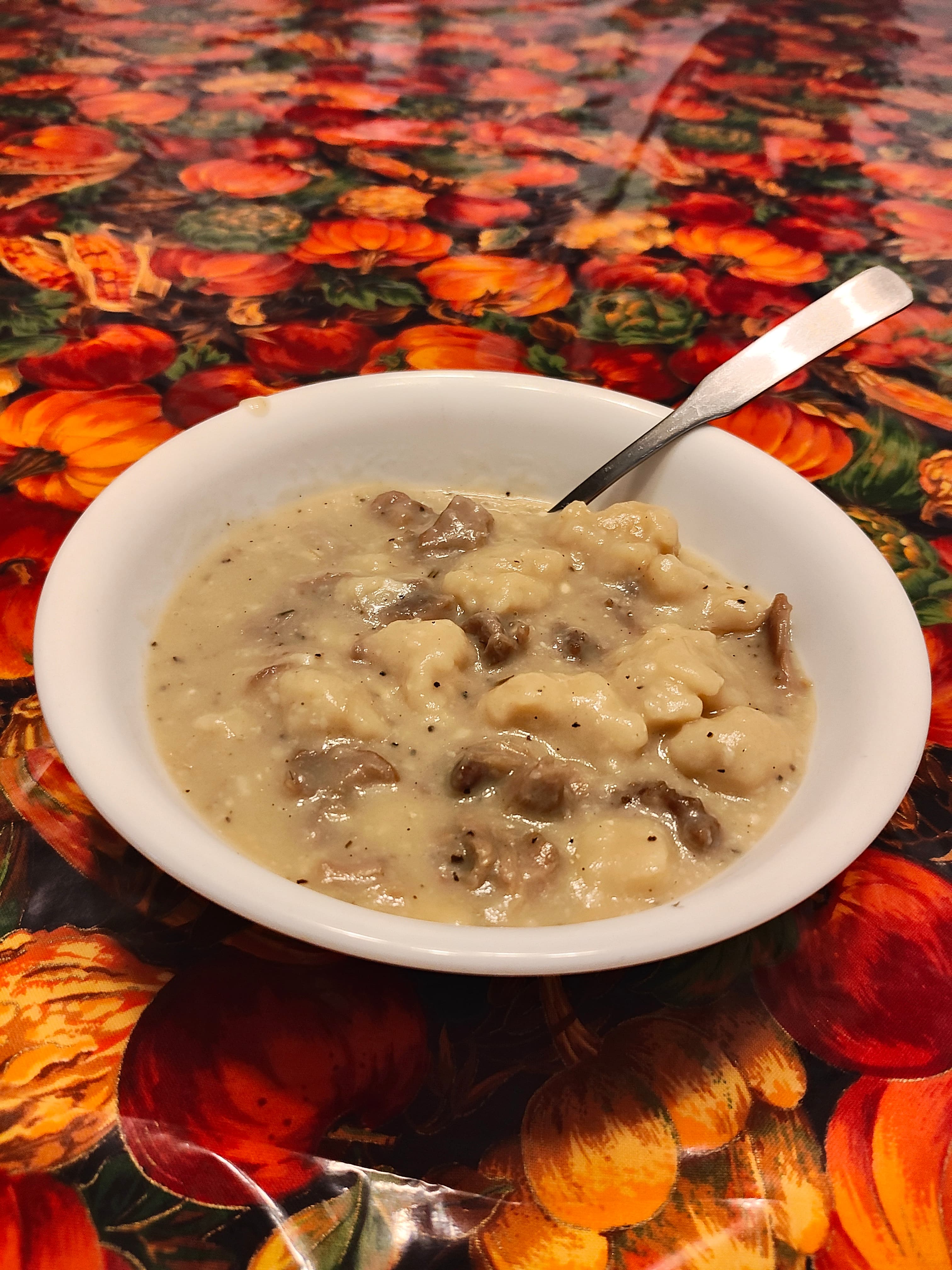 A bowl of homemade squirrel and dumplings soup